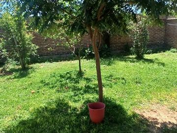 CASA EN VENTA 4 AMBIENTES BELLA VISTA CORRIENTES