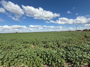 Campo a la venta en Esther departamento San Justo