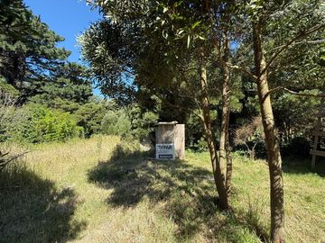 Venta Lote aprox800m2Barrio Parque Peña,Cedro Azul