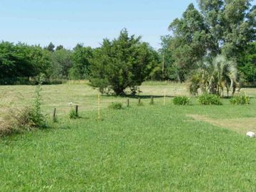 CASA VENTA 1.6 HECTÁREAS CON INVERNACULO ABASTO