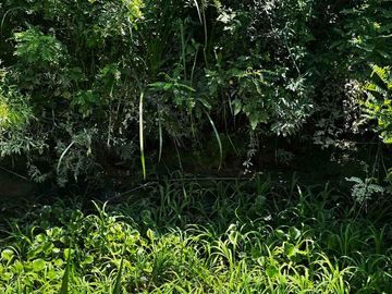 TERRENO EN VENTA ESCOBAR 3 HECTAREAS RUTA 25