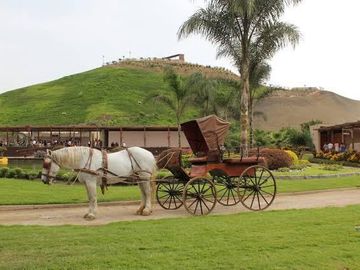 Terreno a la Venta en Asia