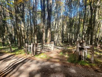 Patagonia,1.5ha camino a centro de esquí El Fraile