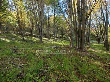 Patagonia,1.5ha camino a centro de esquí El Fraile