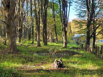 Patagonia,1.5ha camino a centro de esquí El Fraile
