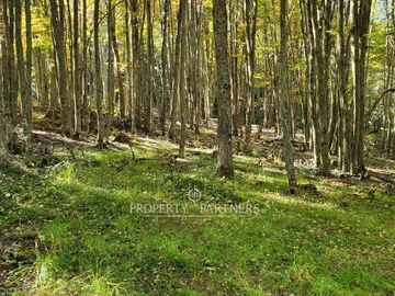 Patagonia,1.5ha camino a centro de esquí El Fraile