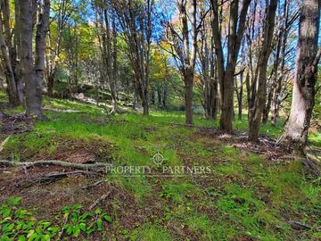 Patagonia,1.5ha camino a centro de esquí El Fraile
