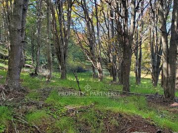 Patagonia,1.5ha camino a centro de esquí El Fraile