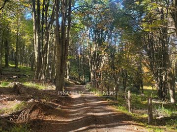 Patagonia,1.5ha camino a centro de esquí El Fraile