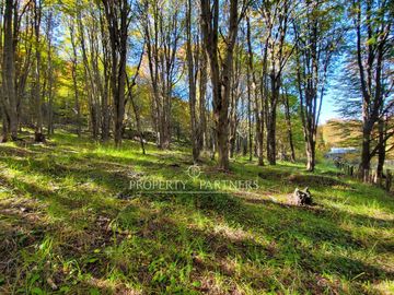 Patagonia,1.5ha camino a centro de esquí El Fraile