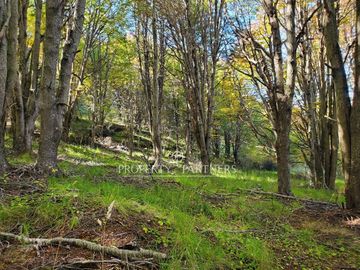 Patagonia,1.5ha camino a centro de esquí El Fraile