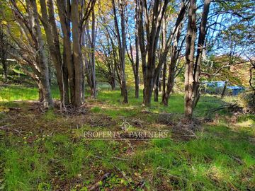 Patagonia,1.5ha camino a centro de esquí El Fraile