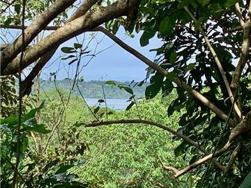 Vendo finca en Bocas del Toro Isla Bastimento L.T
