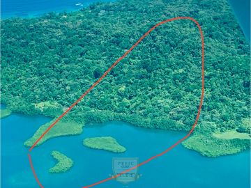 Vendo finca en Bocas del Toro Isla Bastimento L.T