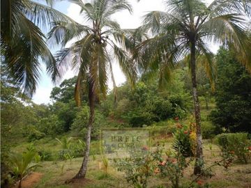 Vendo finca en Bocas del Toro Isla Bastimento L.T
