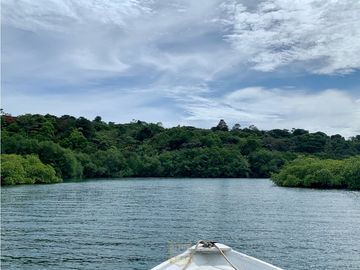 Vendo finca en Bocas del Toro Isla Bastimento L.T