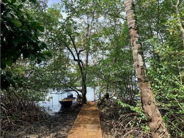 Vendo finca en Bocas del Toro Isla Bastimento L.T