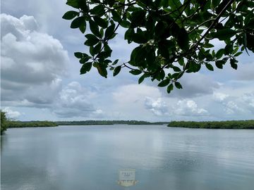 Vendo finca en Bocas del Toro Isla Bastimento L.T