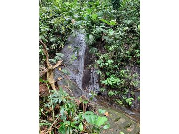 Vendo finca en Bocas del Toro Isla Bastimento L.T