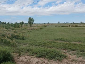 VENTA Finca 23 Ha – COLONIA MOLINA, GUAYMALLÉN
