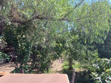 VENTA Finca 23 Ha – COLONIA MOLINA, GUAYMALLÉN