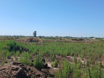 VENTA Finca 23 Ha – COLONIA MOLINA, GUAYMALLÉN