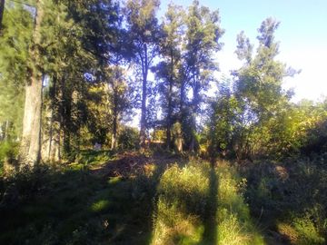 Venta 4 Lotes en Block en Merlo 3000 m2 totales