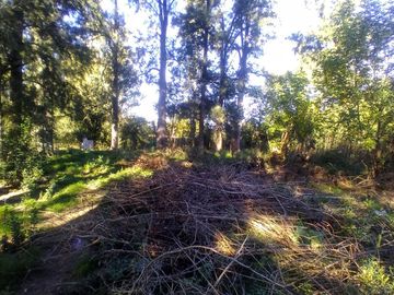 Venta 4 Lotes en Block en Merlo 3000 m2 totales