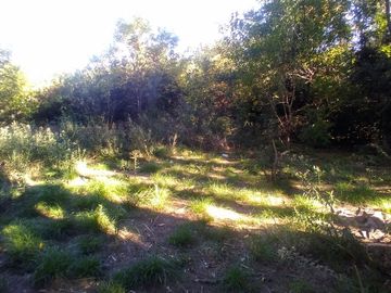 Venta 4 Lotes en Block en Merlo 3000 m2 totales