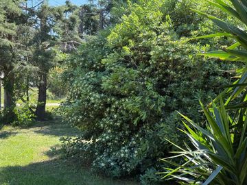 VENTA CASA 5 AMB DOMSELAAR  SOBRE LOTE 1400 MTS