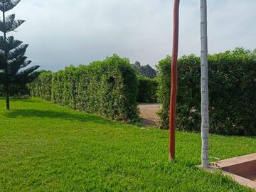 Terreno En Condominio Las Gardenias – Asia