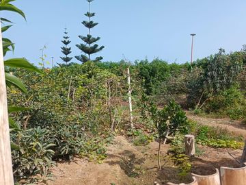 Terreno En Condominio Las Gardenias – Asia
