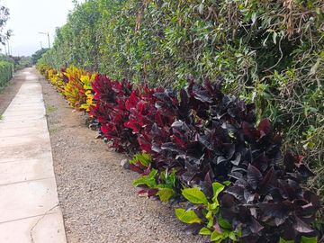 Terreno En Condominio Las Gardenias – Asia