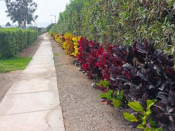 Terreno En Condominio Las Gardenias – Asia