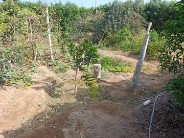 Terreno En Condominio Las Gardenias – Asia