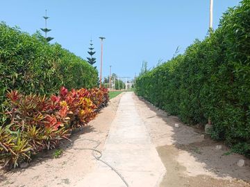 Terreno En Condominio Las Gardenias – Asia
