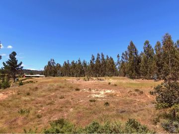 Terreno entre Puertecillo y Matanzas