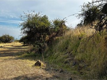 Parcela en Venta, Cerro Cristal Curicó