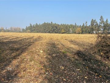 Venta Terreno Agrícola, San Vicente TT