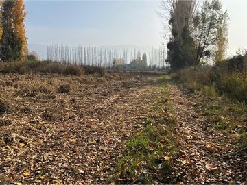 Venta Terreno Agrícola, San Vicente TT