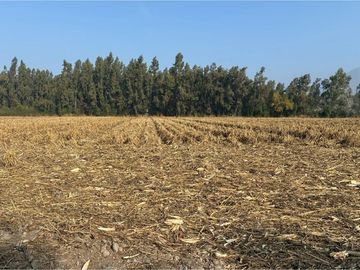 Venta Terreno Agrícola, San Vicente TT