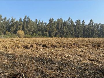 Venta Terreno Agrícola, San Vicente TT