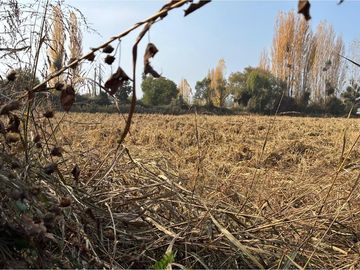 Venta Terreno Agrícola, San Vicente TT