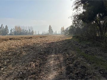 Venta Terreno Agrícola, San Vicente TT