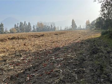 Venta Terreno Agrícola, San Vicente TT