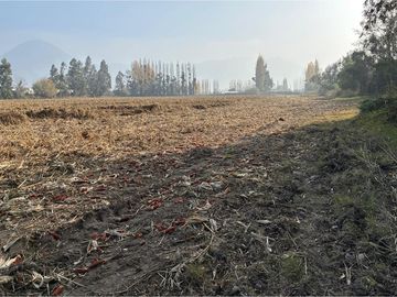 Venta Terreno Agrícola, San Vicente TT