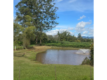 EXCLUSIVA CASA EN VENTA Y RENTA EN LLANOGRANDE, RIONEGRO