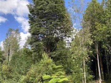Parcela en venta  en PUERTO MONTT