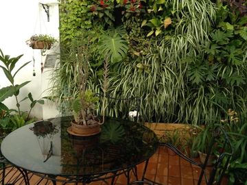 DPTO. 3 AMBIENTES EN VENTA EN FLORIDA C/ JARDIN