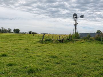CAMPO GANADERO EN VENTA CAÑUELAS 90 HECTAREAS